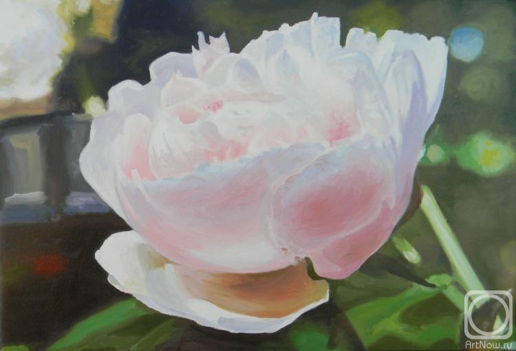 ������� ������ �� ������. ������� ��������. ����� ����