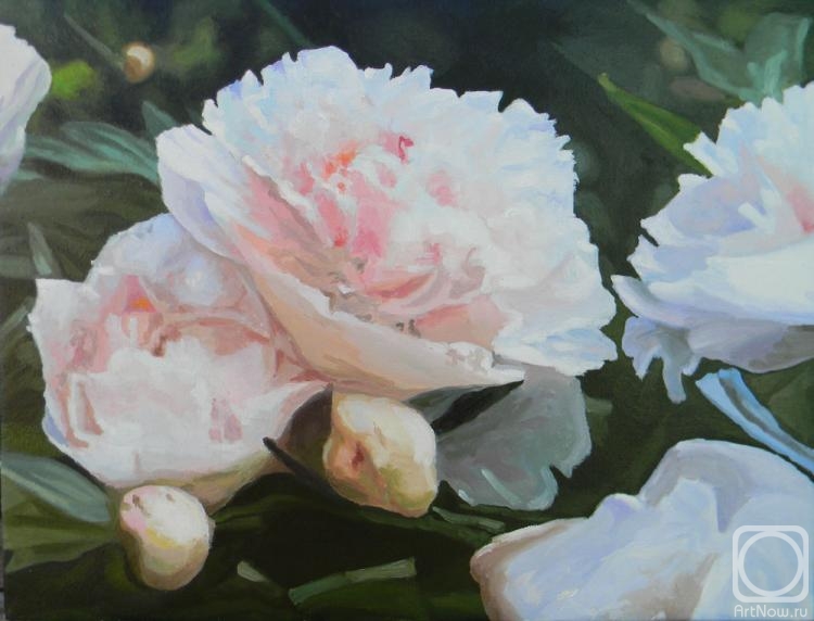 ������� ������ �� ������. ������� ��������. �����