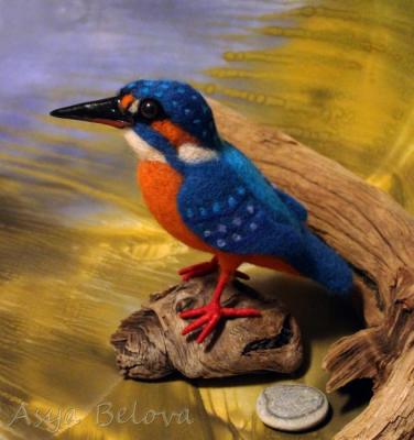 Kingfisher. Belova Asya
