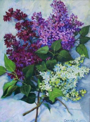 Three branches of a lilac