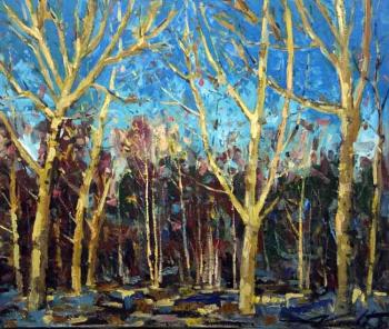 ������� ����������