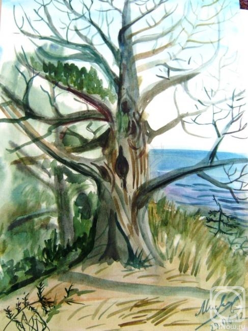 �������. ��������� �����. ���������