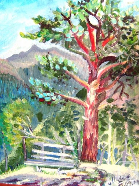 �������. ��������� �����. ������ �����