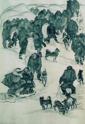 Sale of sled dogs. Dickiy Vladimir