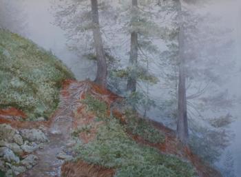 Austria. Path in the fog