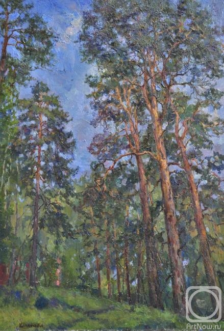 ������� ������ �� ������. �������� �������. ������������ �����