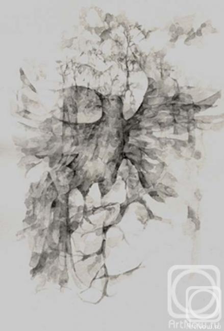 �������. ���������� ���������. �����