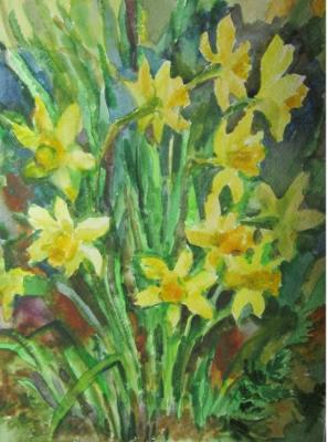 Daffodils - Spring Suns. Kruppa Natalia