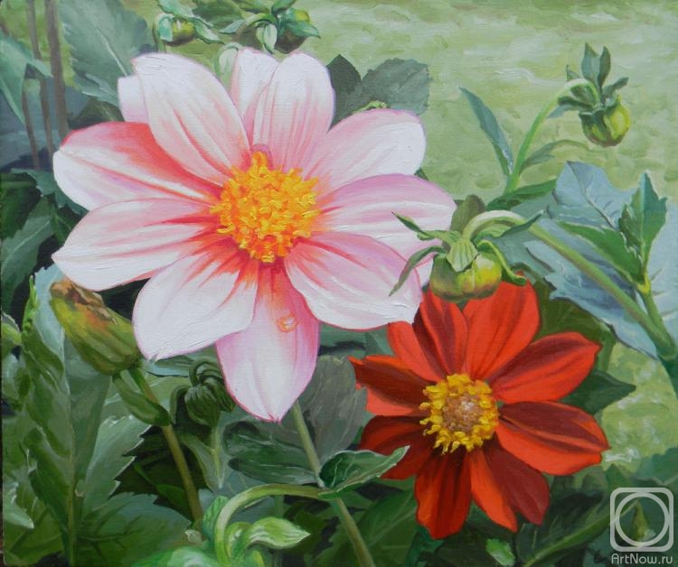 ������� ������ �� ������. ������� ��������. ��������