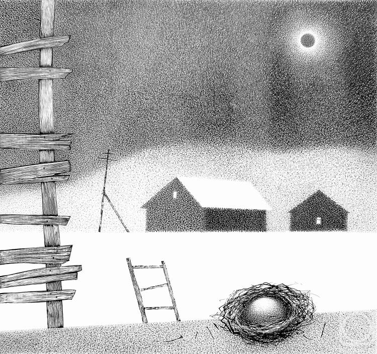 �������. �������� ����. ��������