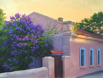 Near the gate. Zhornick Oleg