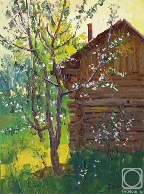 Vilkova Elena. Flowering apple tree