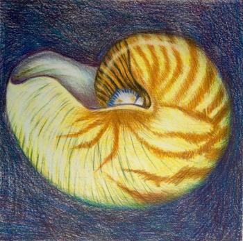 668 �������. �������� ������