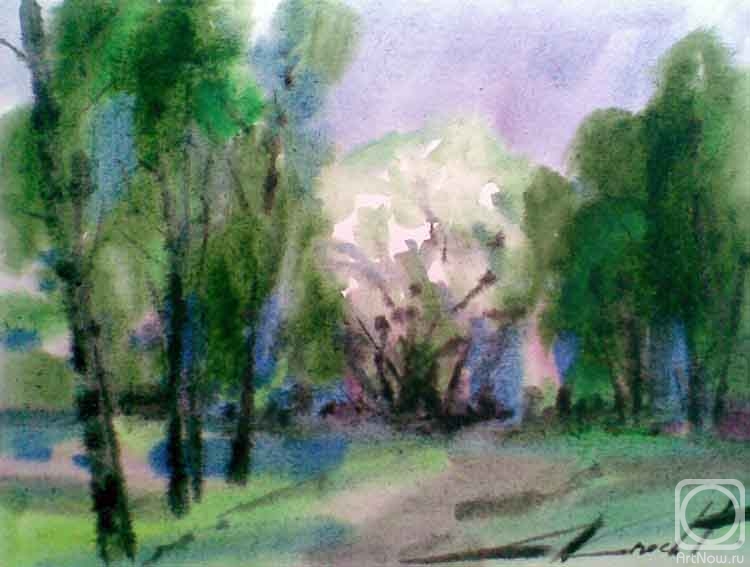 Knecht Aleksander. Untitled