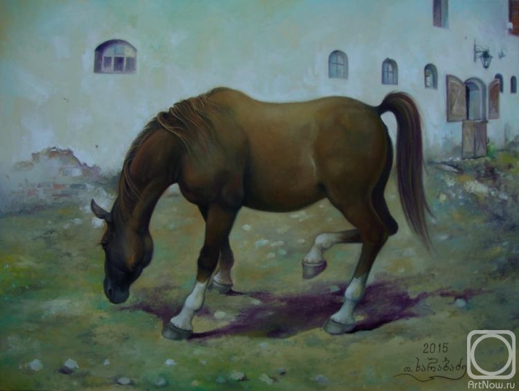Kharabadze Teimuraz. Horse, Lokata
