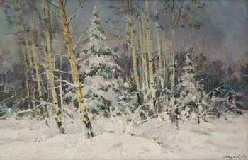 Winter in Kuzminki. Markov Leonid