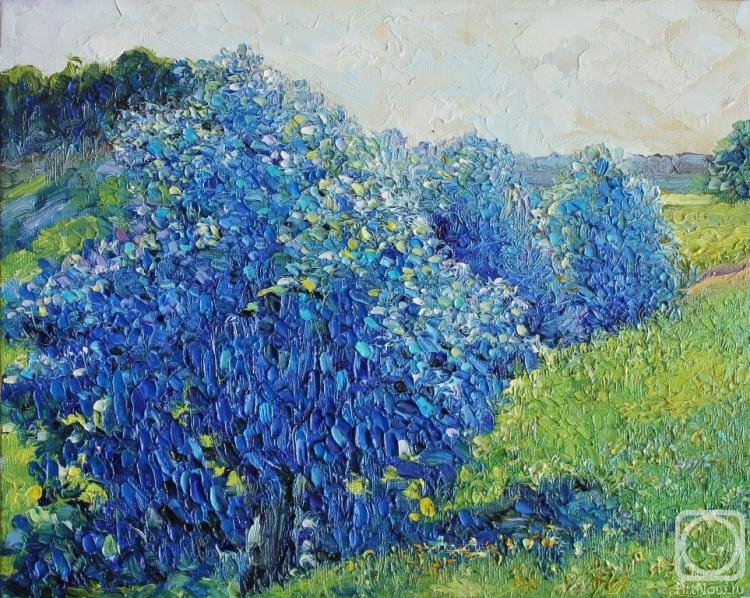 ������� ������ �� ������. �������� ����. ������