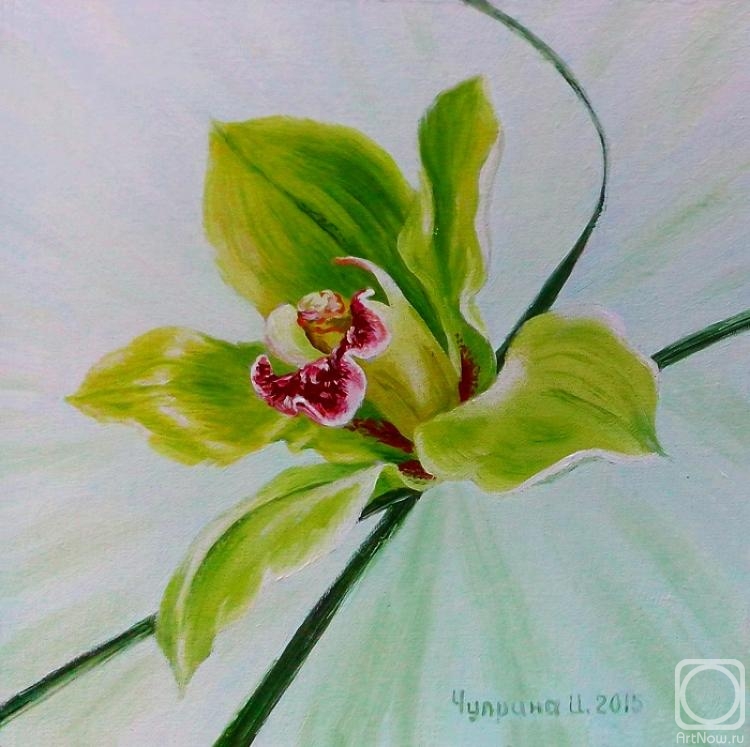 Chuprina Irina. orchid