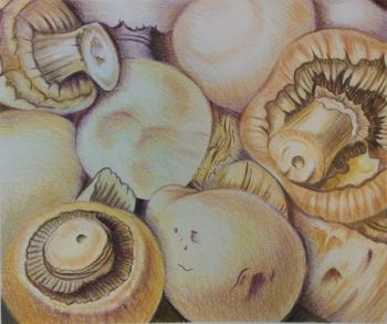669 Mushrooms