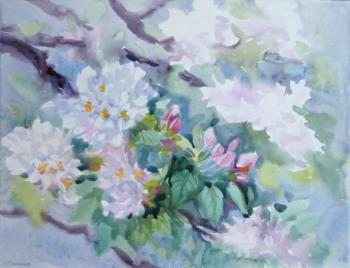 ������� ��������� ������