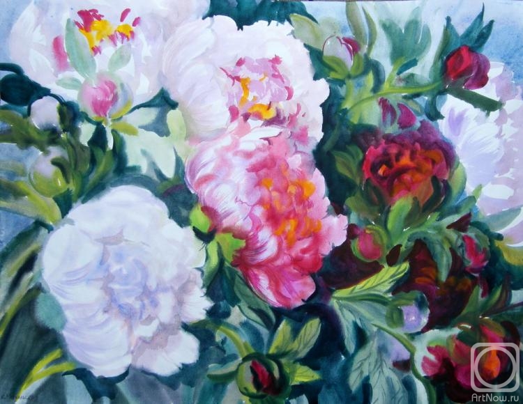 �������. ���������� ���������. ���������� �����