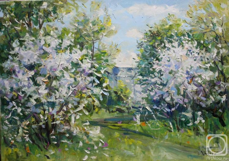 Shaykhetdinov Vagiz. Spring in the garden