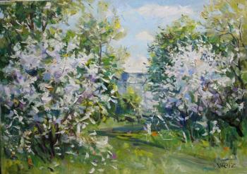 ������� ������ � ����