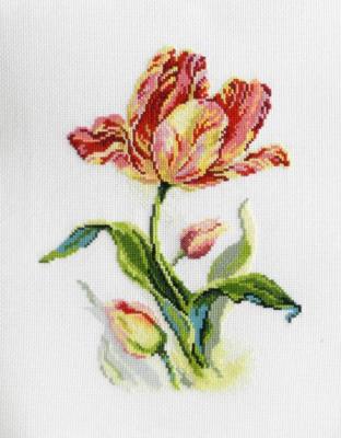 Tulips ( ). Khrapkova Svetlana