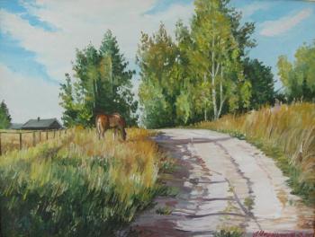 On the way to the village. Chernyshev Andrei