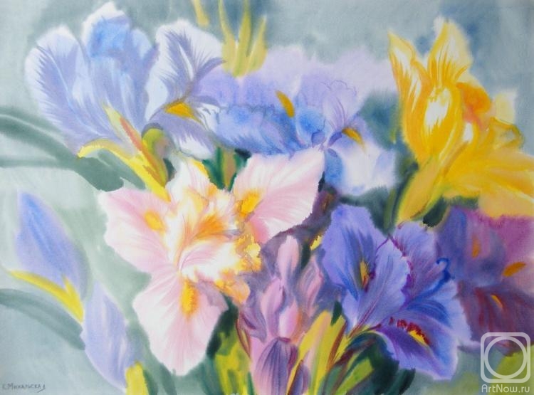 �������. ���������� ���������. ����