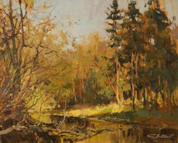 ������� ������� �����