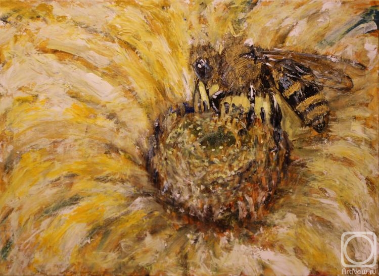 �������. ���������� �����. �����