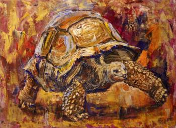Turtle. Rakhmatulin Roman