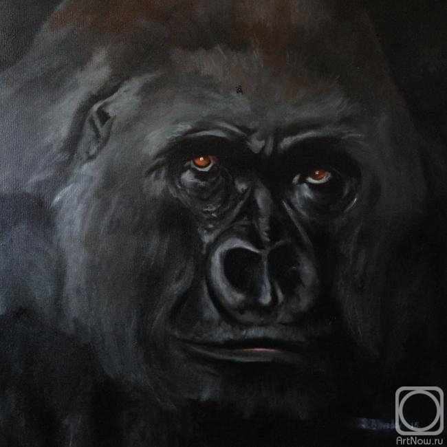 Shvedov Sergei. Portrait of a Gorilla
