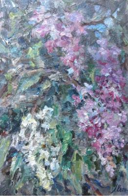 ������� ��������