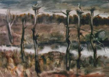 Storks. Dickiy Vladimir