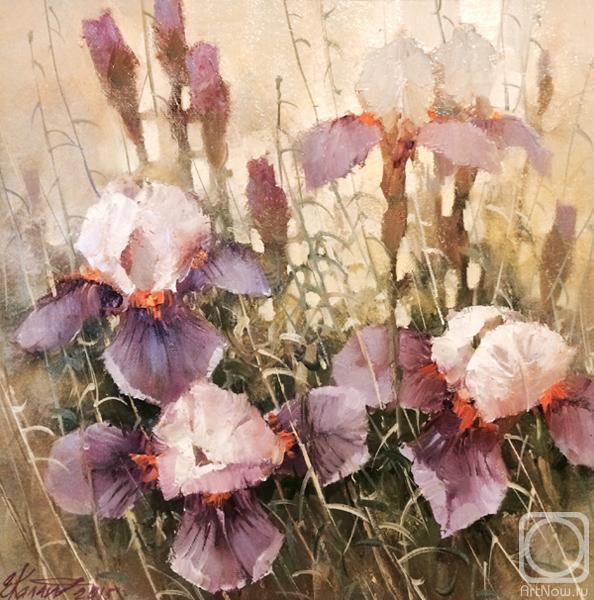 ������� ������ �� ������. ����������� �����. �����