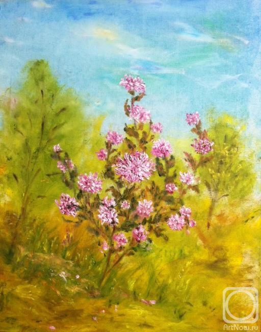 ������� ������ �� ������. ������ ����. �������� �������� ����