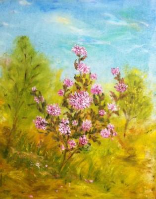 ������� ��������� �������� ����