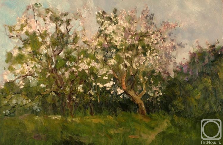 Serebrennikova Larisa. Flowering apple trees