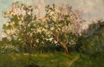 Flowering apple trees (Flowering Trees). Serebrennikova Larisa