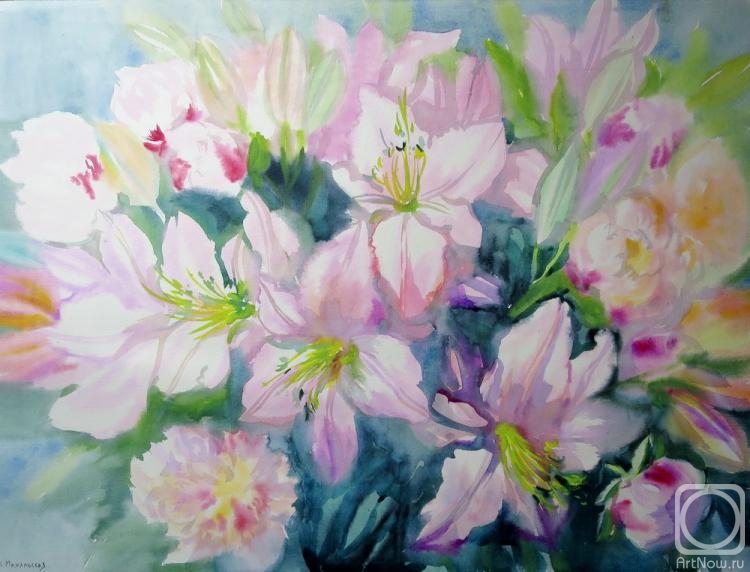 �������. ���������� ���������. �������� �����