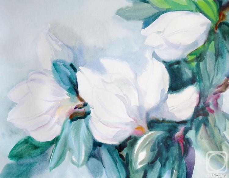 �������. ���������� ���������. ��������