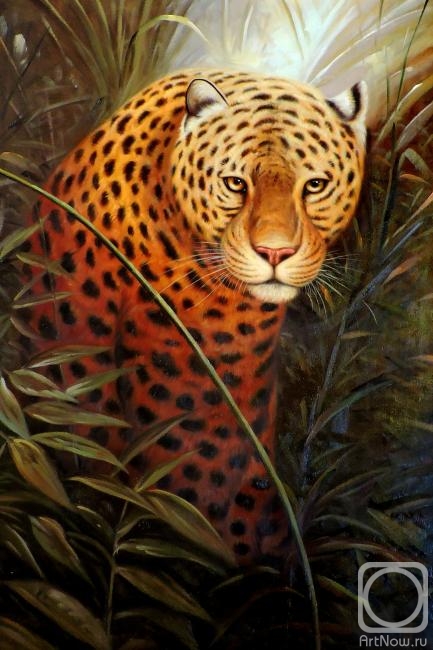Bruno Augusto. Leopard