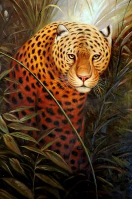 Leopard (Lion Hunting). Bruno Augusto