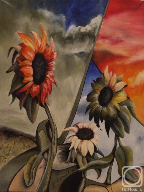 ������� ������ �� ������. ������ �������. 697