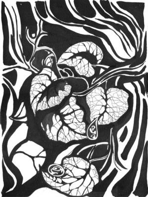 ����������). �������� ��������