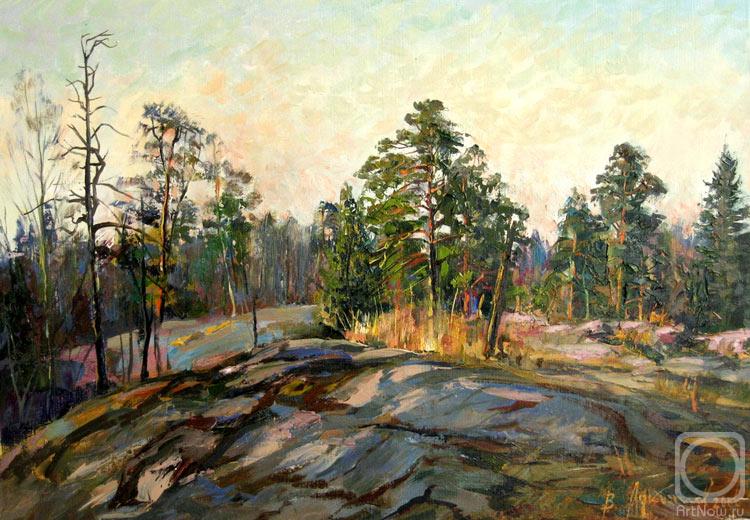 Loukianov Victor. Morning. pines on stones