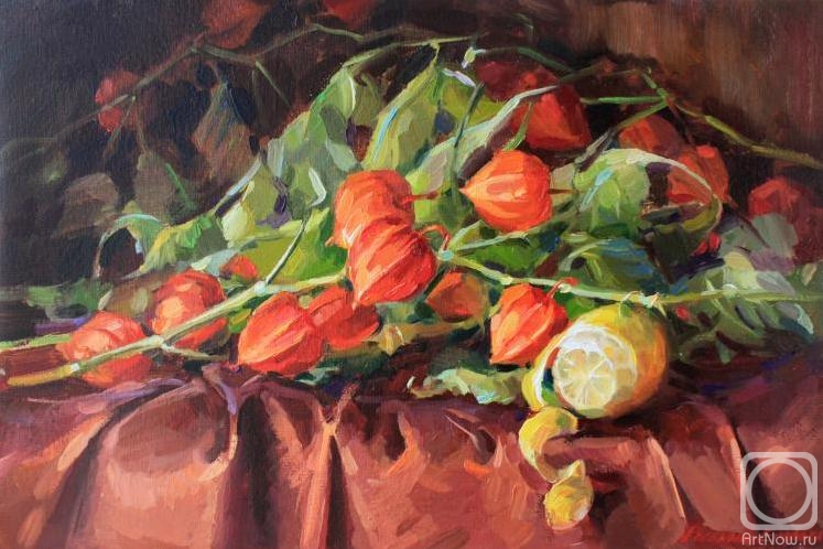 Rybina-Egorova Alena. Ground cherry