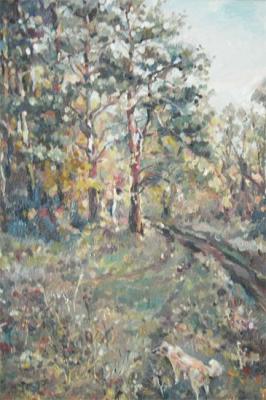 ������� ������ � ����